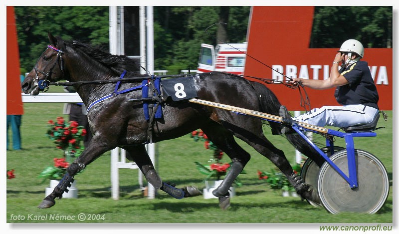 Bratislava - 04. jla 2004