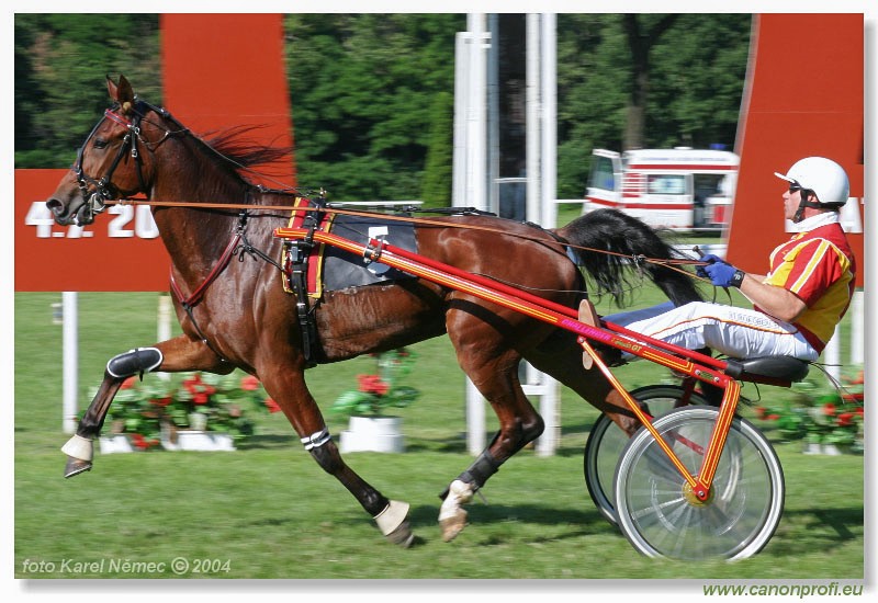 Bratislava - 04. jla 2004
