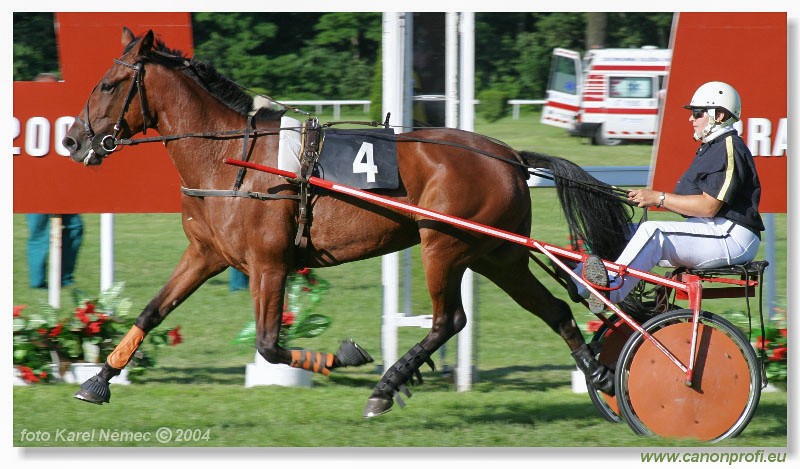 Bratislava - 04. jla 2004