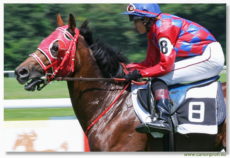 Bratislava - 18. jla 2004