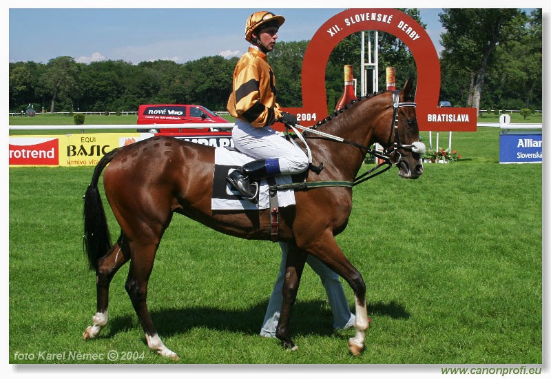 Bratislava - 18. jla 2004