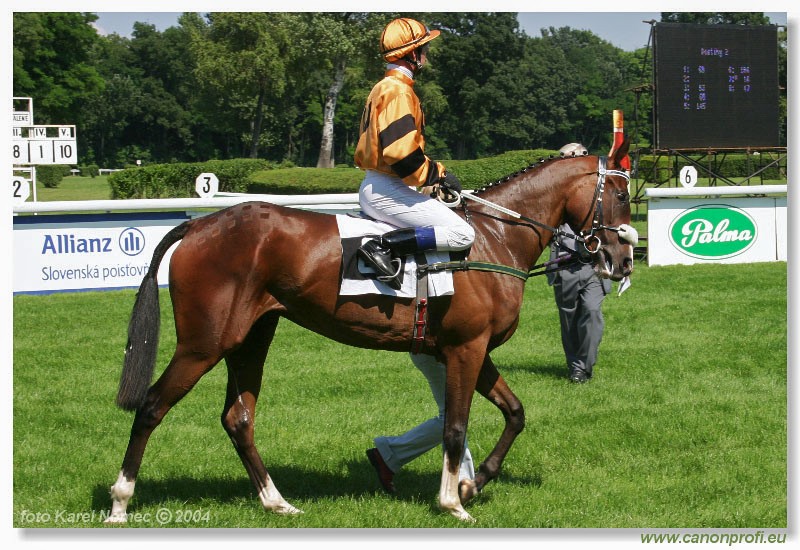 Bratislava - 18. jla 2004
