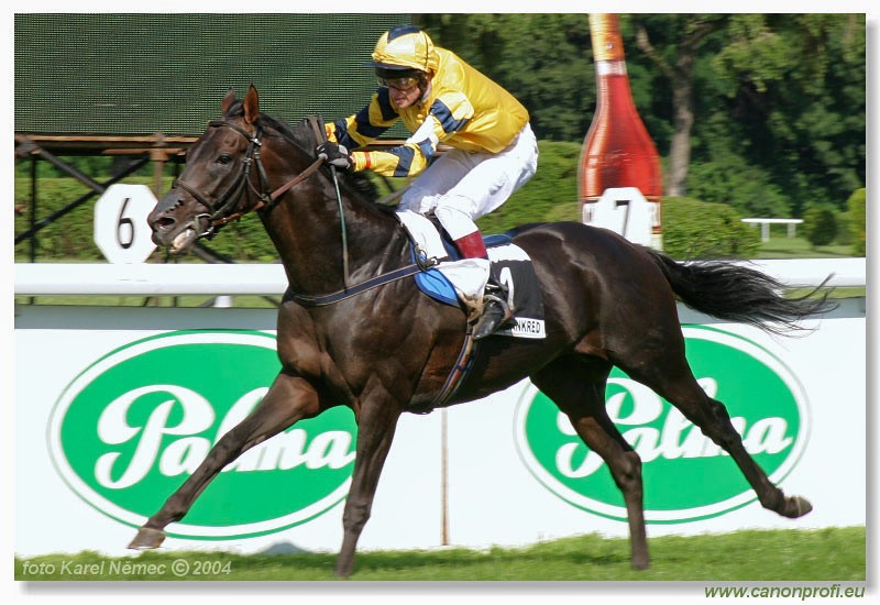 Bratislava - 18. jla 2004