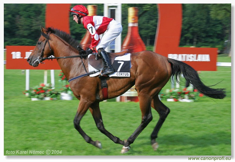 Bratislava - 18. jla 2004