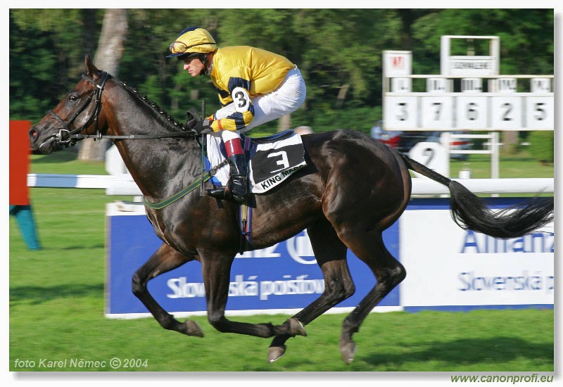 Bratislava - 18. jla 2004