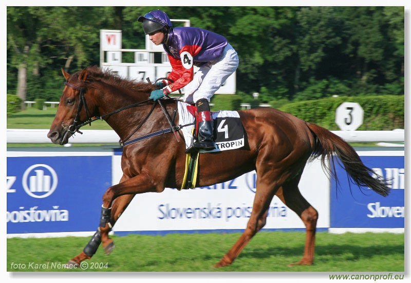 Bratislava - 18. jla 2004