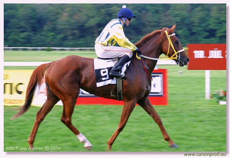 Bratislava - 18. jla 2004