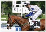 Cena Nutri Horse Standard 