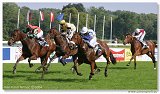 Cena Nutri Horse Standard 