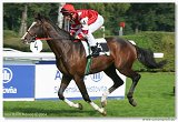 Cena Nutri Horse H 50 Plus 