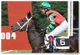 Cena Nutri Horse H 50 Plus 