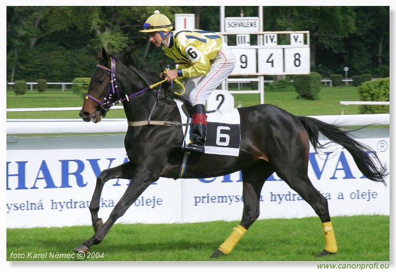 Bratislava - 26. septembra 2004