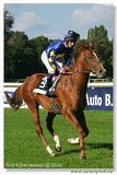 Cena Nutri Horse Msli 