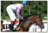 Cena Nutri Horse Msli 