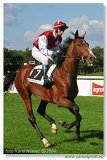 Cena Nutri Horse Msli 