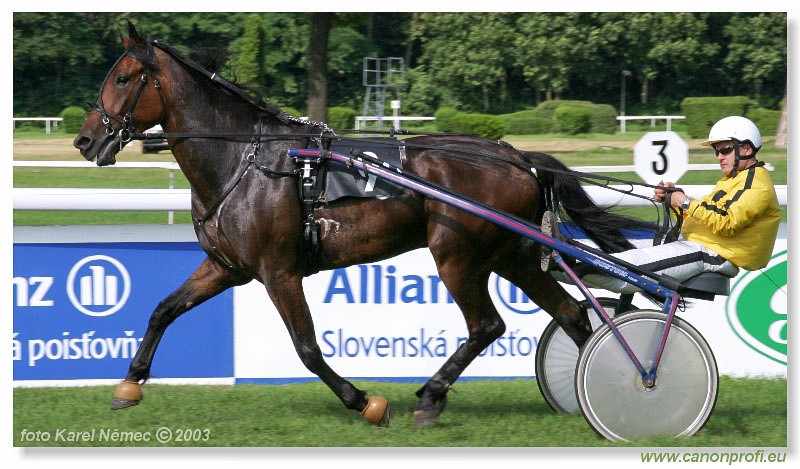 Bratislava - 06. jla 2003