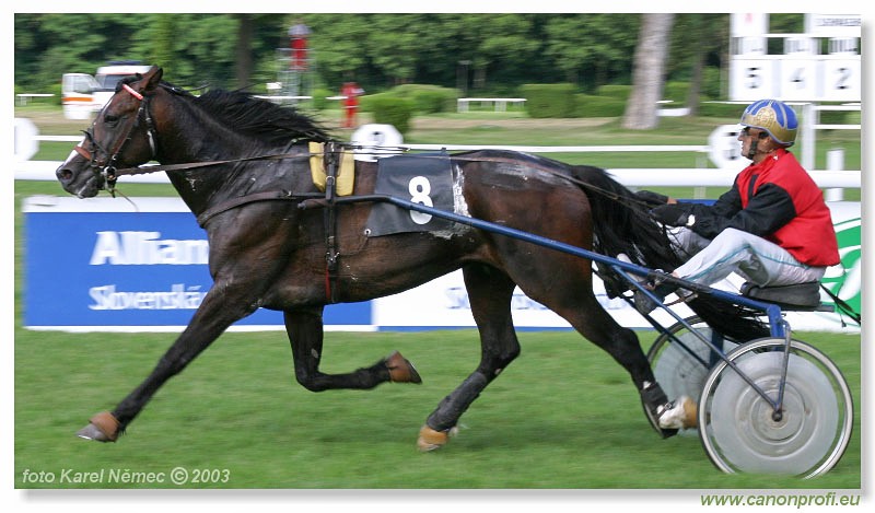 Bratislava - 06. jla 2003