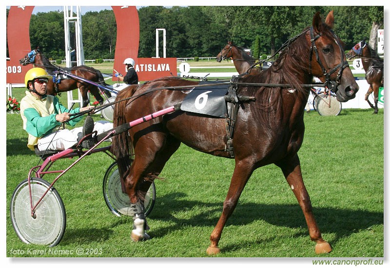 Bratislava - 06. jla 2003