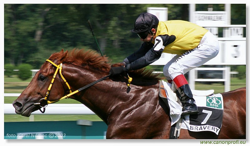 Bratislava - 20. jla 2003