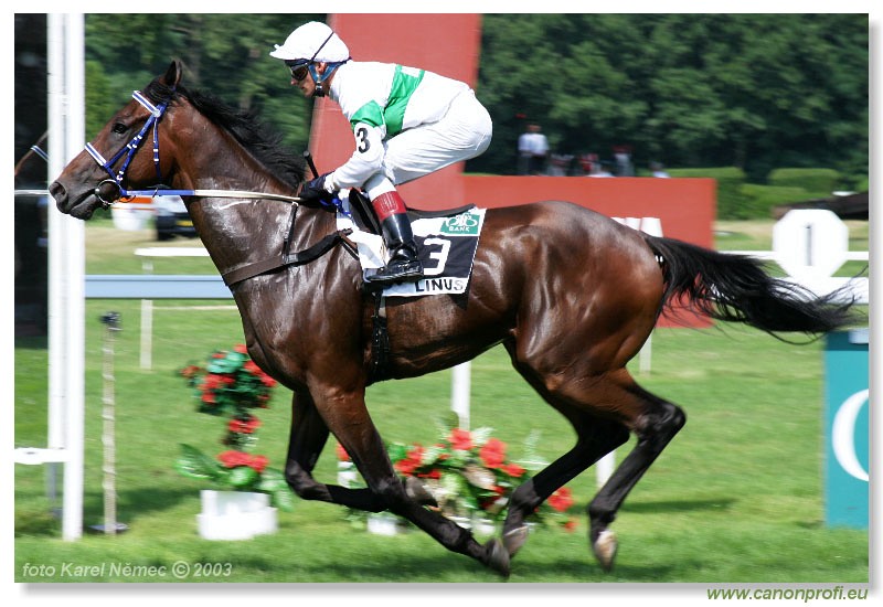 Bratislava - 20. jla 2003