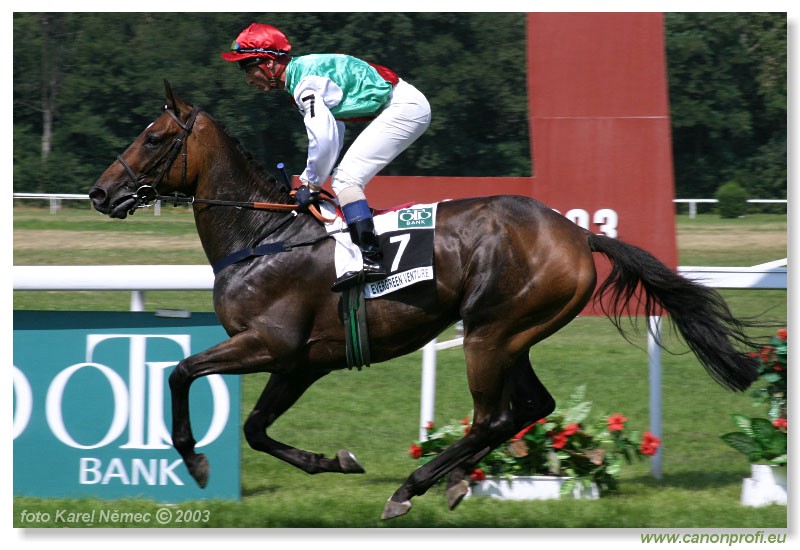 Bratislava - 20. jla 2003