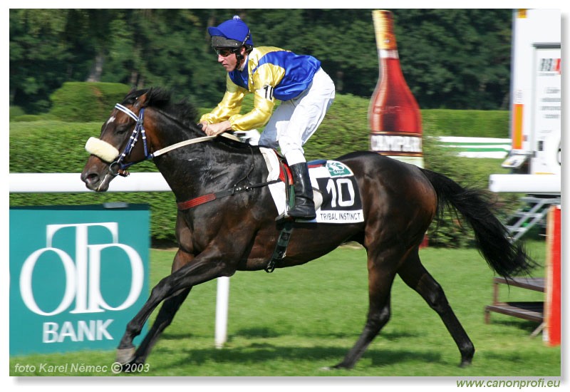 Bratislava - 20. jla 2003
