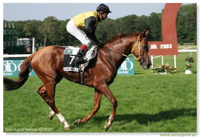 Bratislava - 20. jla 2003