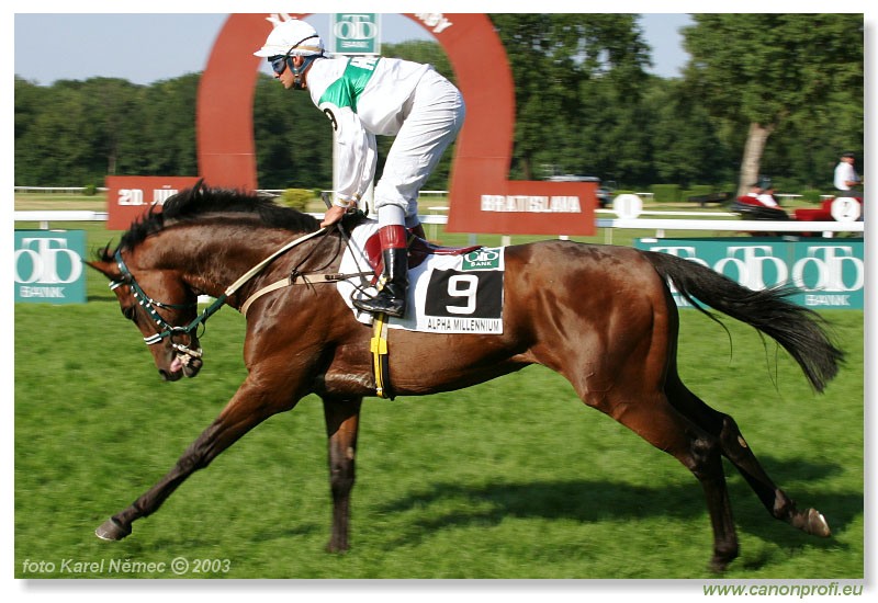Bratislava - 20. jla 2003