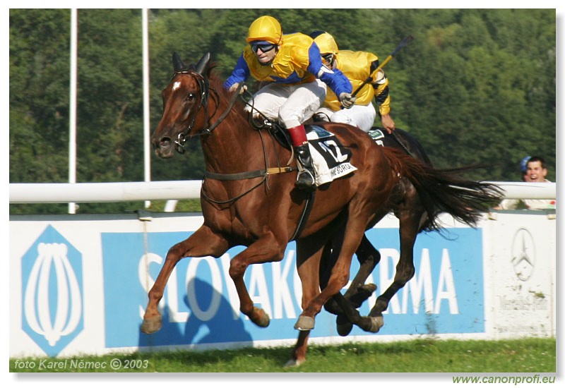 Bratislava - 20. jla 2003