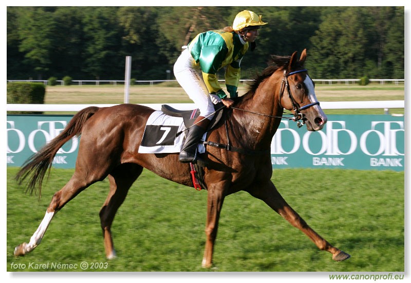 Bratislava - 20. jla 2003