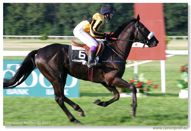 Bratislava - 20. jla 2003