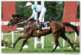Derby 2003 