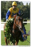 Derby 2003 