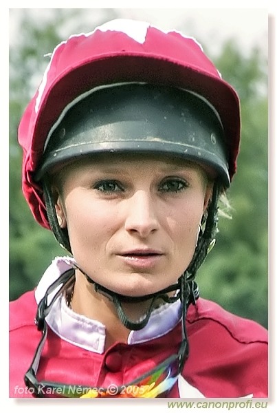 V - Vajsnerová ... Výtisková