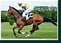 CASSA DANTE - Witteová - Autoopravovňa Strnisko