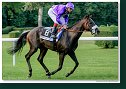 ESPARANTO (GER) - Bojko Jozef - Stall Nizza (GER) 