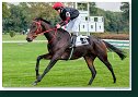 EVENING DEAUVILLE (GER) - Giles Mark-Anthony - Lider Racing Stable 