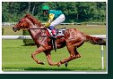 GREEN VALLEYS (CZE) - žk. Varga Matyás - KUBLIHA & SMOLIK HORSE RACING TEAM   