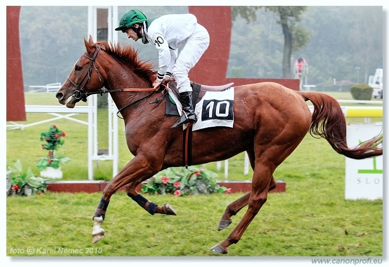 CH - Champagne Pink ... Chutney Mary