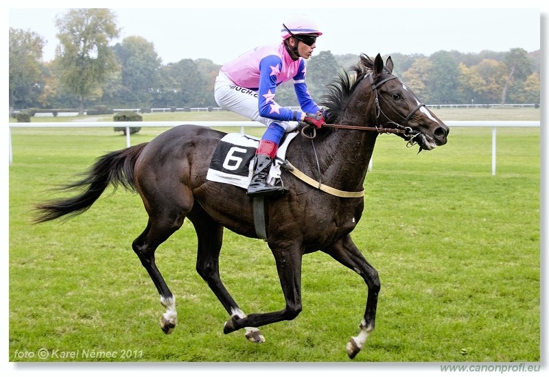 CH - Champagne Pink ... Chutney Mary
