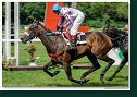 HONORA - Šmátrala Tomáš - Gestüt Güthler Hof-Kuchyňa