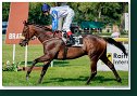 ITALIAN STALLION (IRE) - Mešetović Goran - Alexandra Kamocsaiová (AUT)