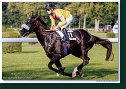 LAC LEMAN (GER) - Hellyn Stephen - Gestüt Auenquelle (GER)