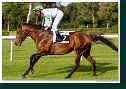 LORD PHILLIPE (GER) - žk. Rigo Matej - AGROLIPT 