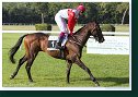 LYSYAN (IRE) - dž. Zatloukal Milan - Joly (CZE) 