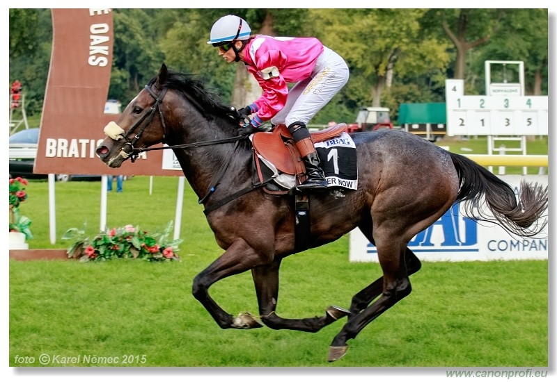 Kone A-Z Racehorses