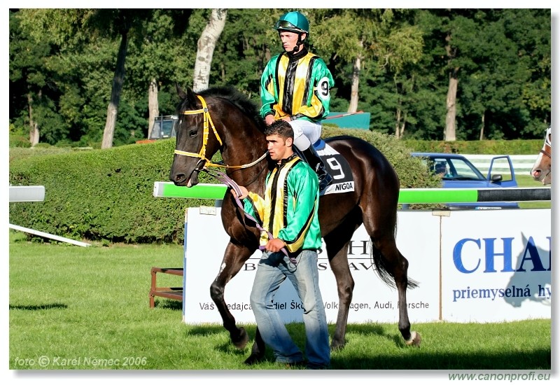 Kone A-Z Racehorses