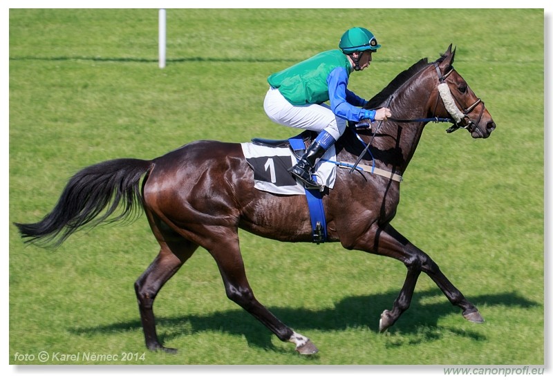 Kone A-Z Racehorses