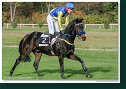 ROYAL MOUGINS (GB) - dž. Havelka Radek - Dr. Charvát 