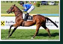 SALOON DAY (GER) - Tylicki Frederik - Gestüt Wittekindshof (GER)